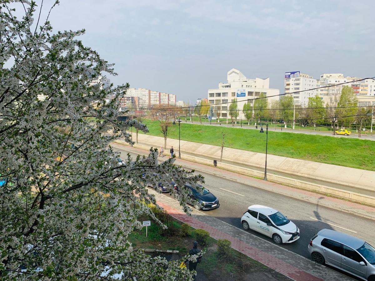 Civic City Center Residence Ιάσιο Εξωτερικό φωτογραφία